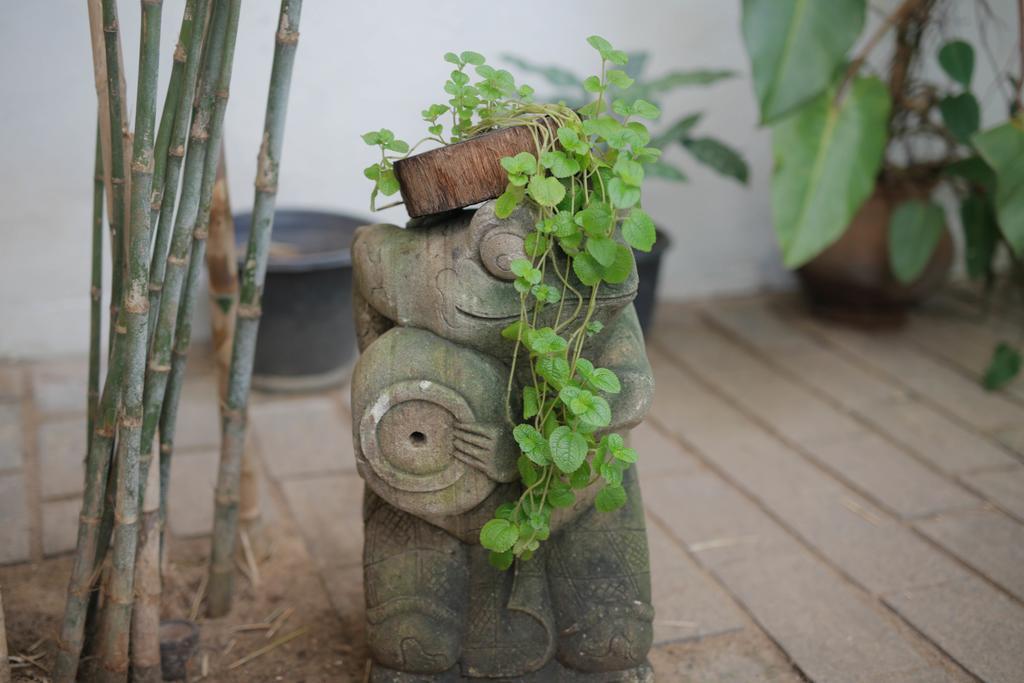 Moss Bnb Kolombo Bagian luar foto