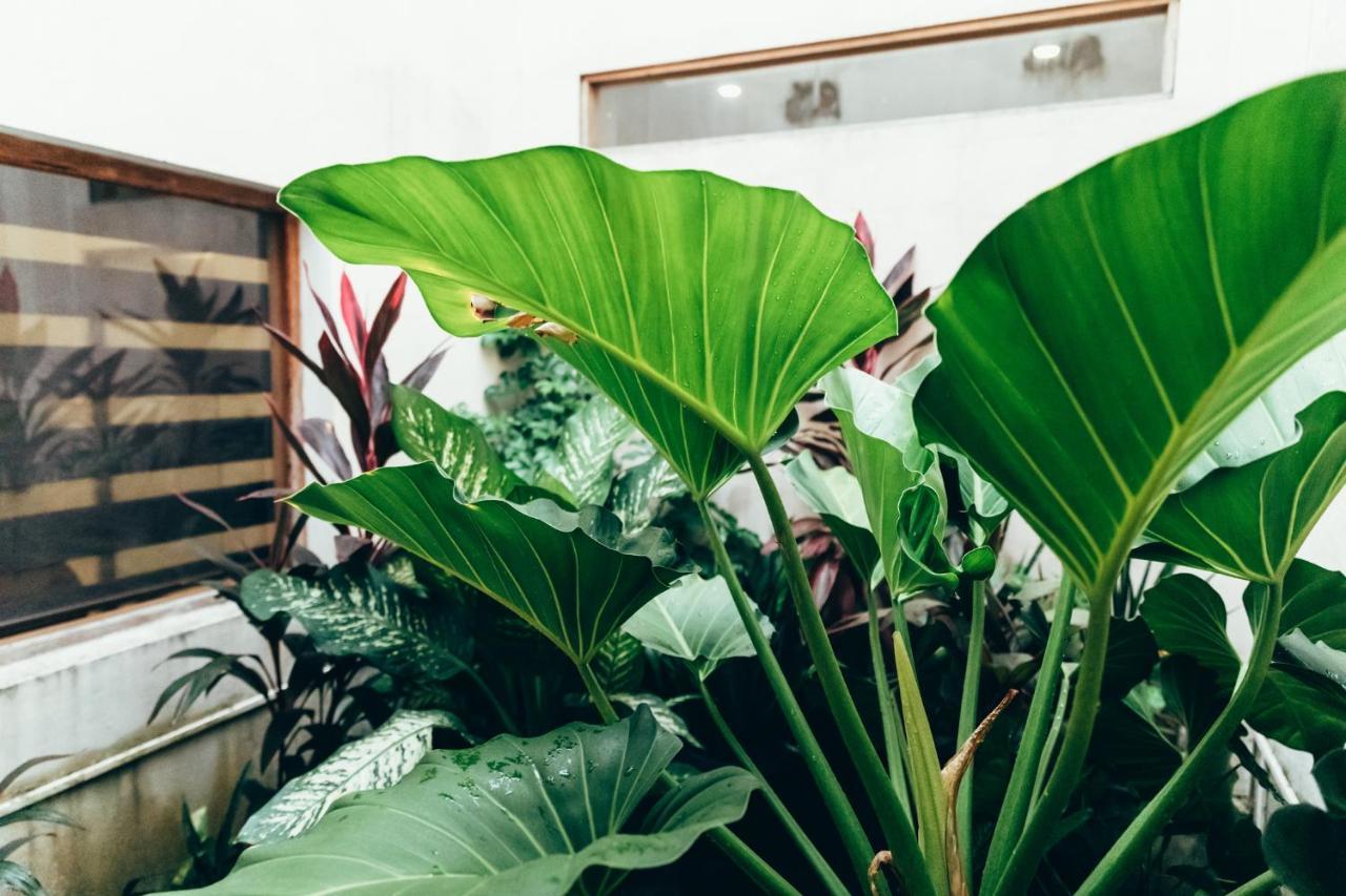 Moss Bnb Kolombo Bagian luar foto